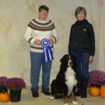 TD
Joan Robinson and "Caber" ~
 CH Baergli Caber CD RN TD 
 (Bernese Mountain Dog/male/3 yrs. old) 
October 16, 2011 at NTTA