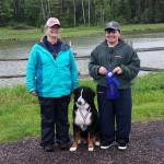 Sue Wilkinson & "Syrrah" 
Orloff Jungfrau TD RA CGN
(Bernese Mountain Dog/female/2 yrs old)
May 30-2015 at EPS, judge Sharon Smith